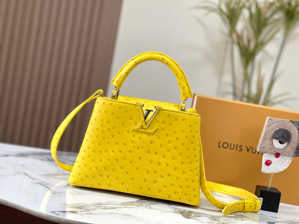 Anum Bags LVn Luxury Bag --80708