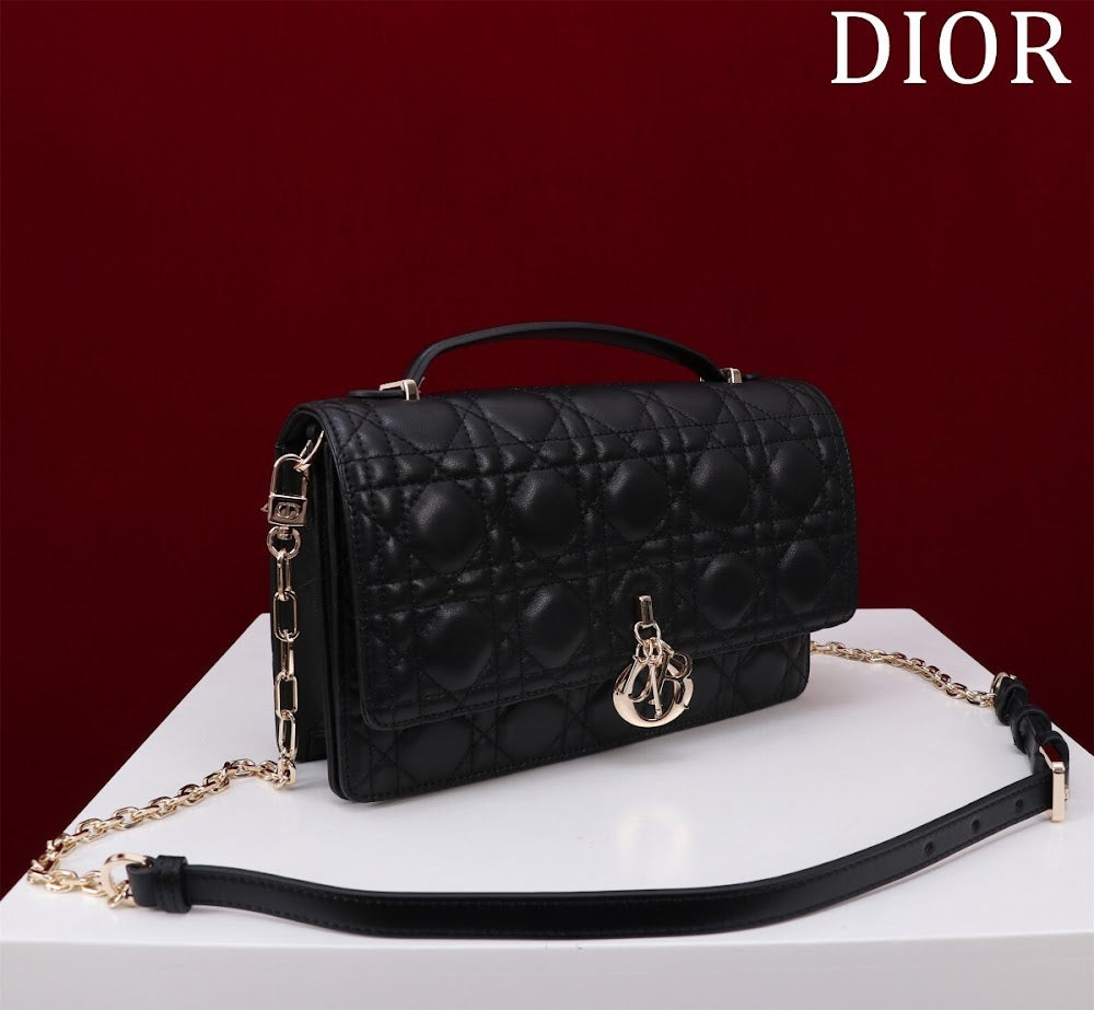 Ezyycart Bags Diorn Luxury Bag --116289