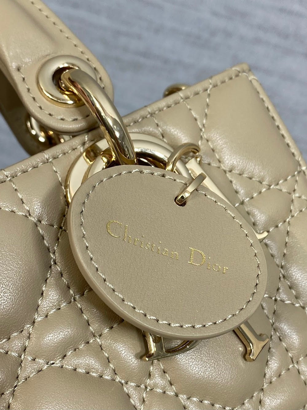 Ezyycart Bags Diorn Luxury Bag --116190