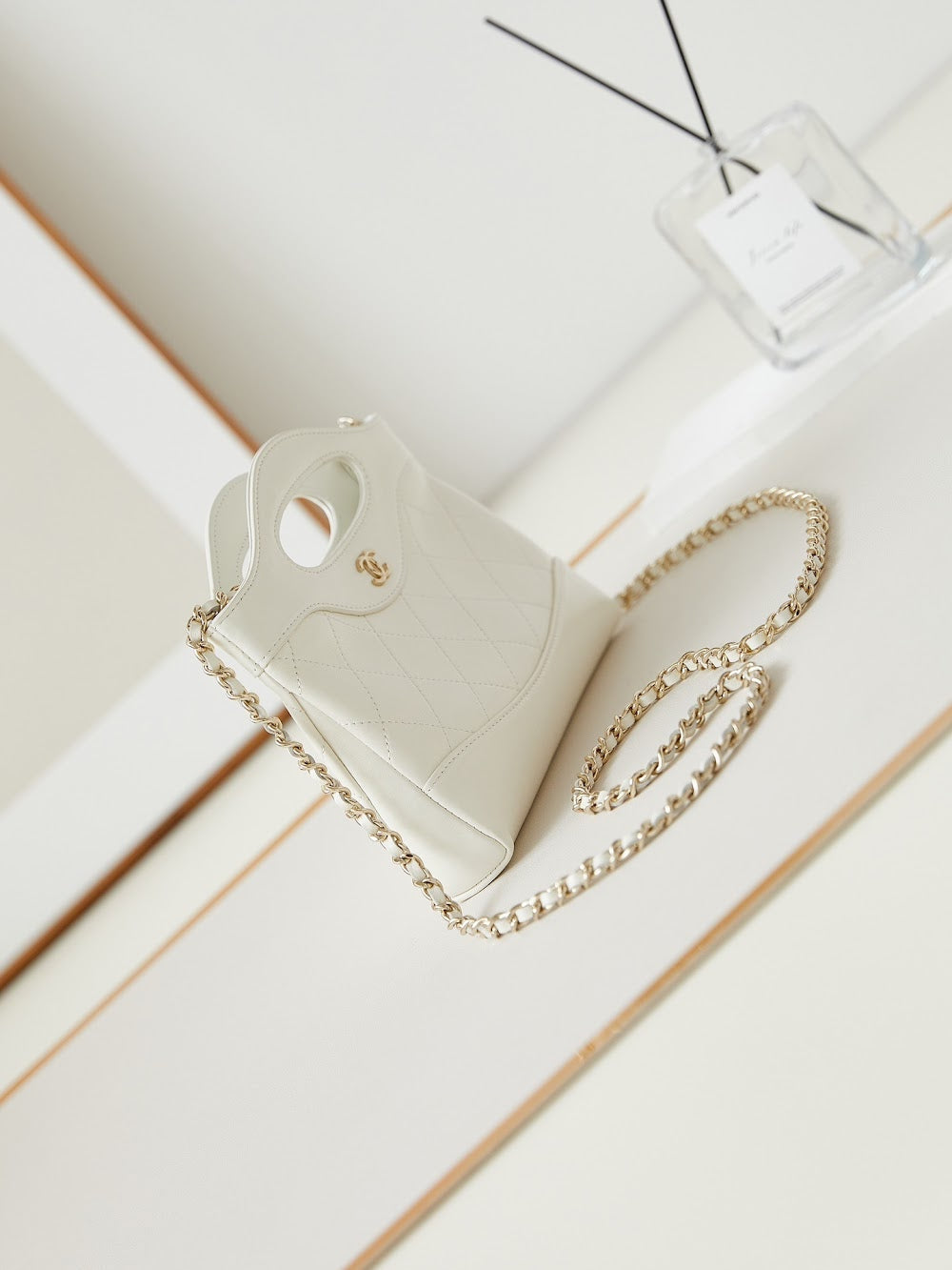 new-designer-premium-bags-nm10175