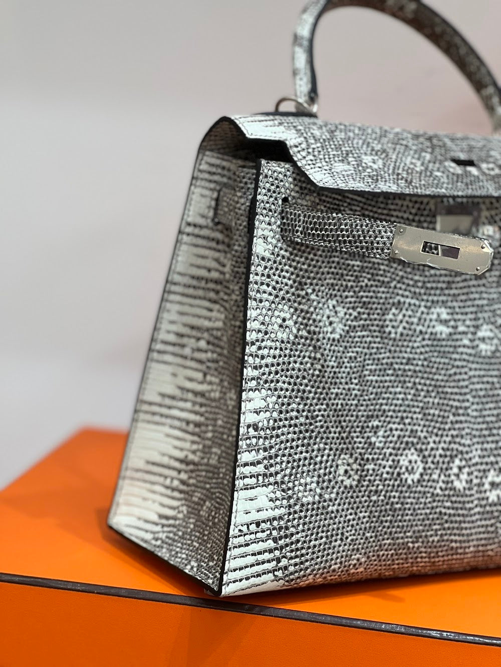 Anum Bags Hermesn Luxury Bag --117123