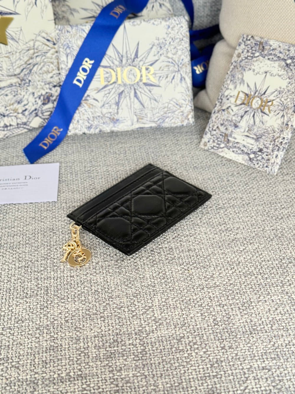 Anum Bags Diorn Luxury Bag --114679