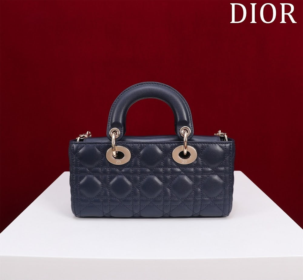 Anum Bags Diorn Luxury Bag --114763