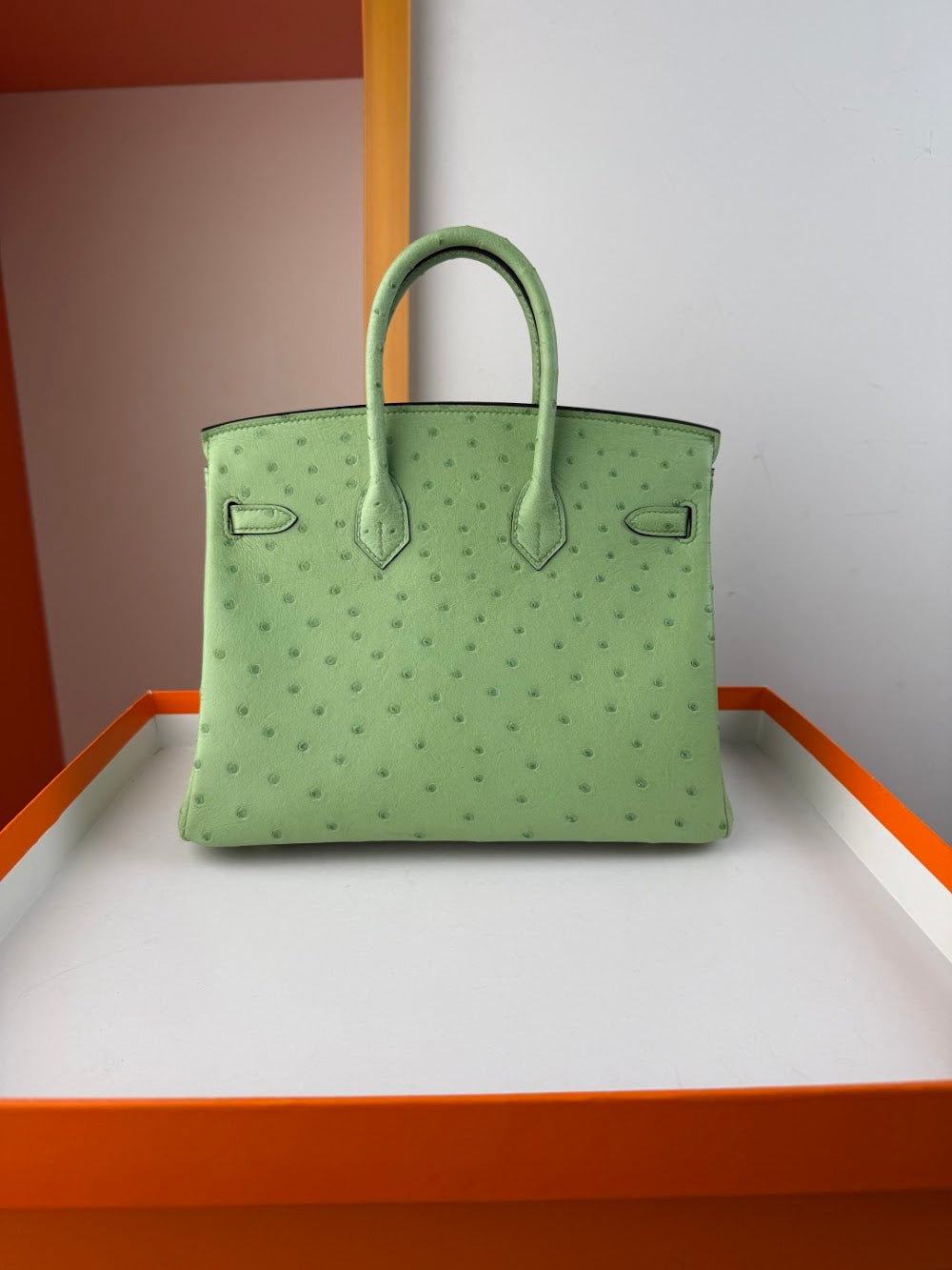 Anum Bags Hermesn Luxury Bag --116759