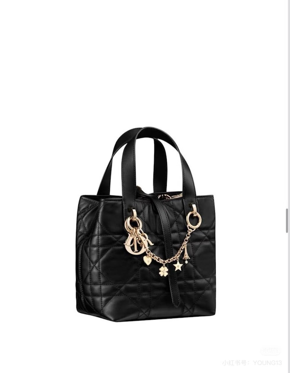 Ezyycart Bags Diorn Luxury Bag --115848