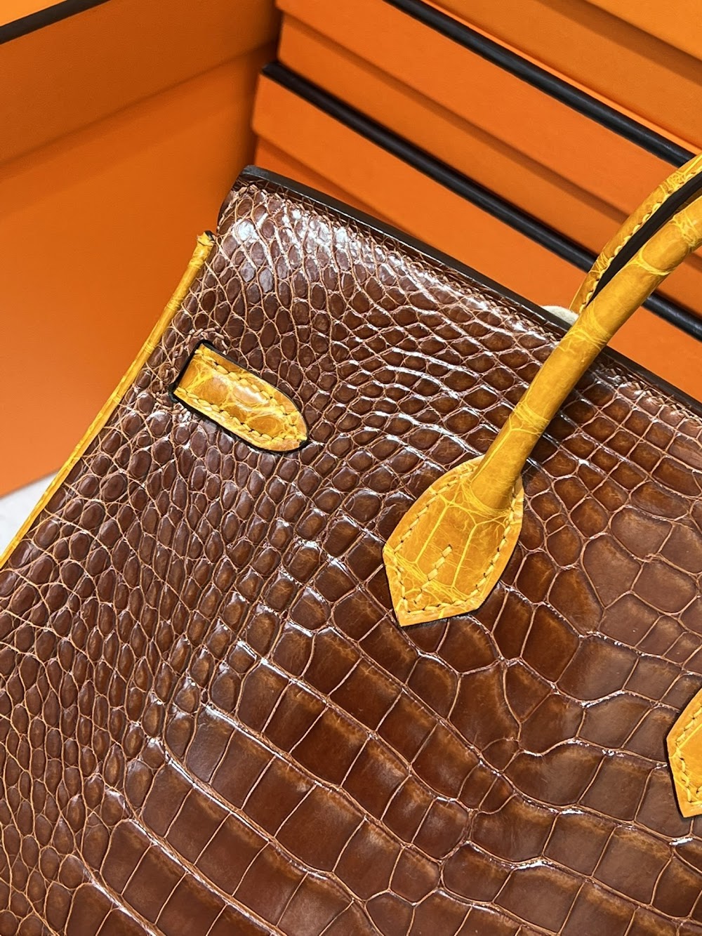 Anum Bags Hermesn Luxury Bag --117381