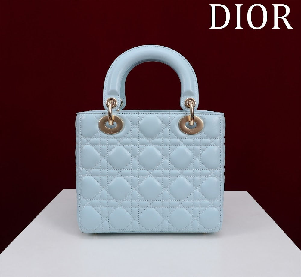 Ezyycart Bags Diorn Luxury Bag --115928