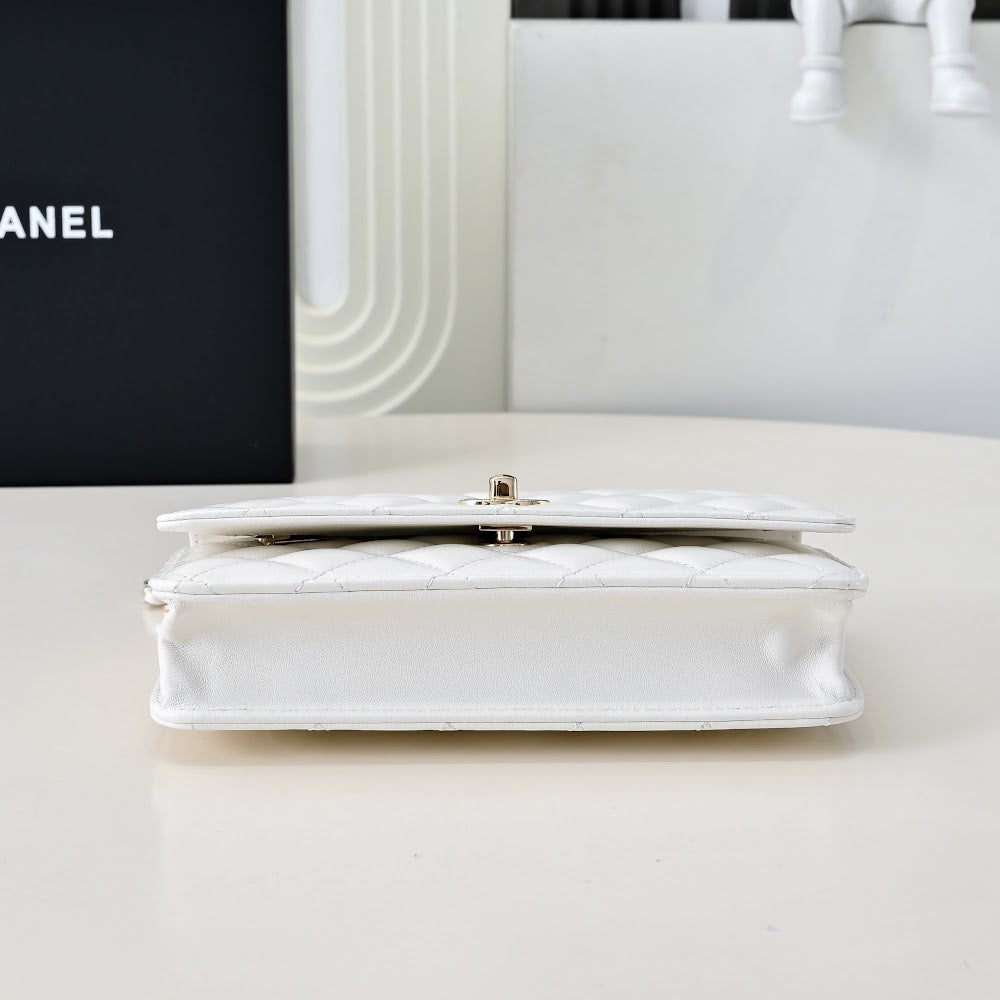 Anum Bags CHn Luxury Bag --114414