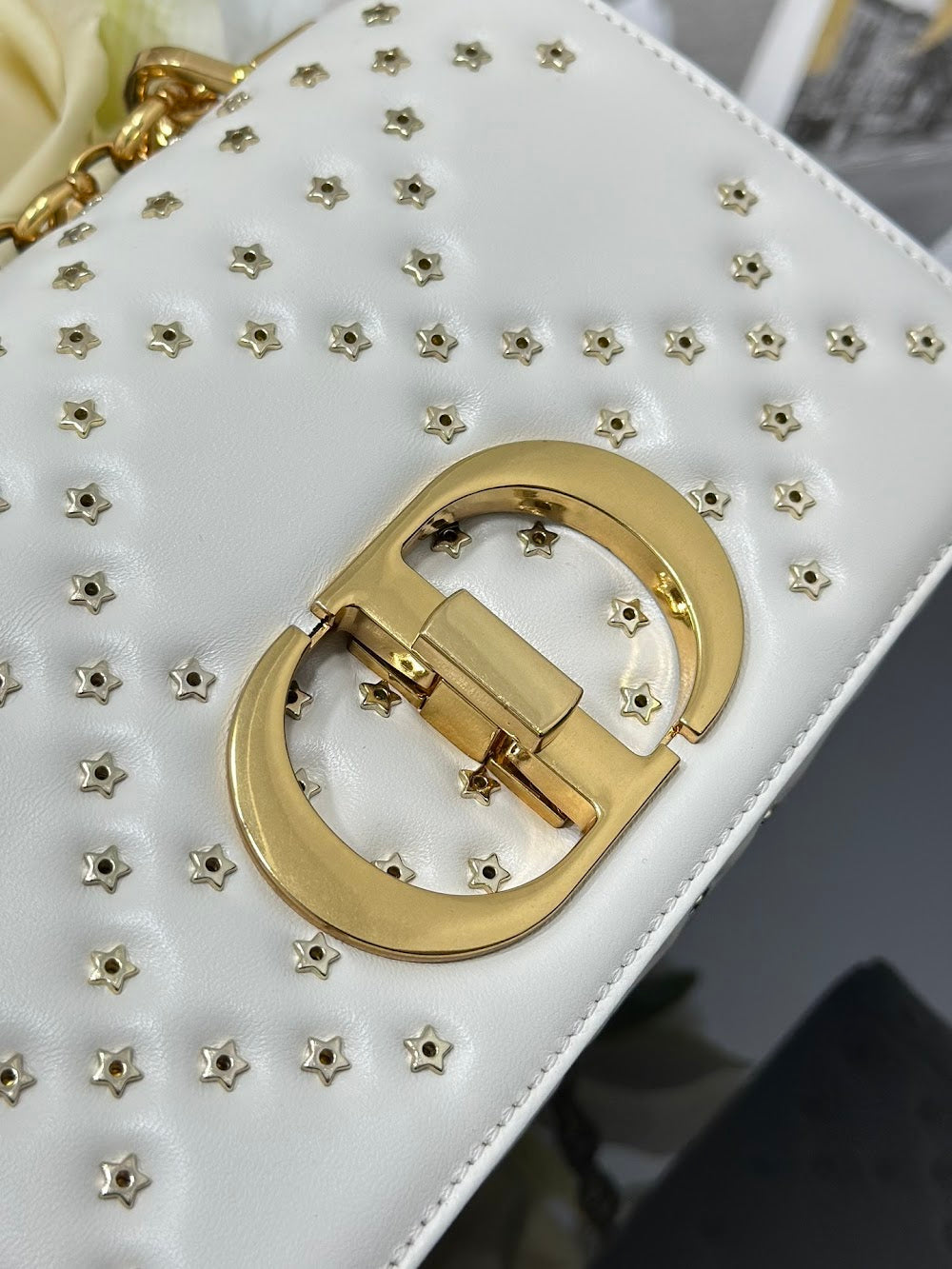 Ezyycart Bags Diorn Luxury Bag --115716