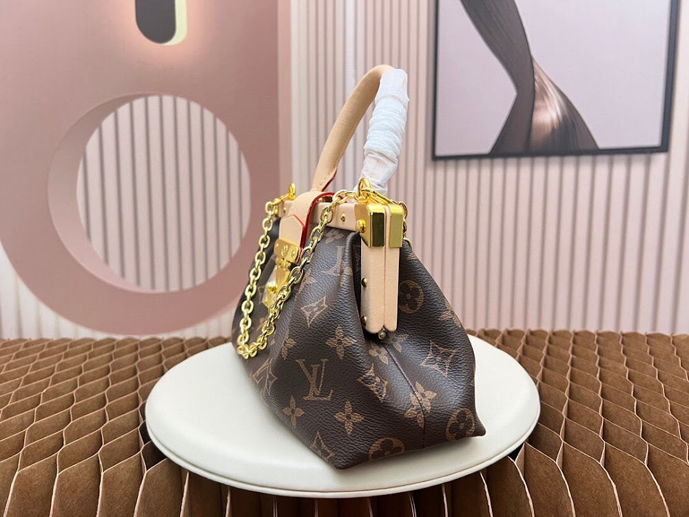 Anum Bags LVn Luxury Bag --79690
