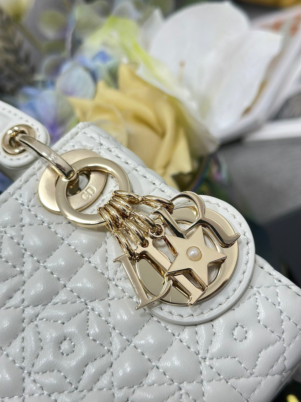 Ezyycart Bags Diorn Luxury Bag --115650