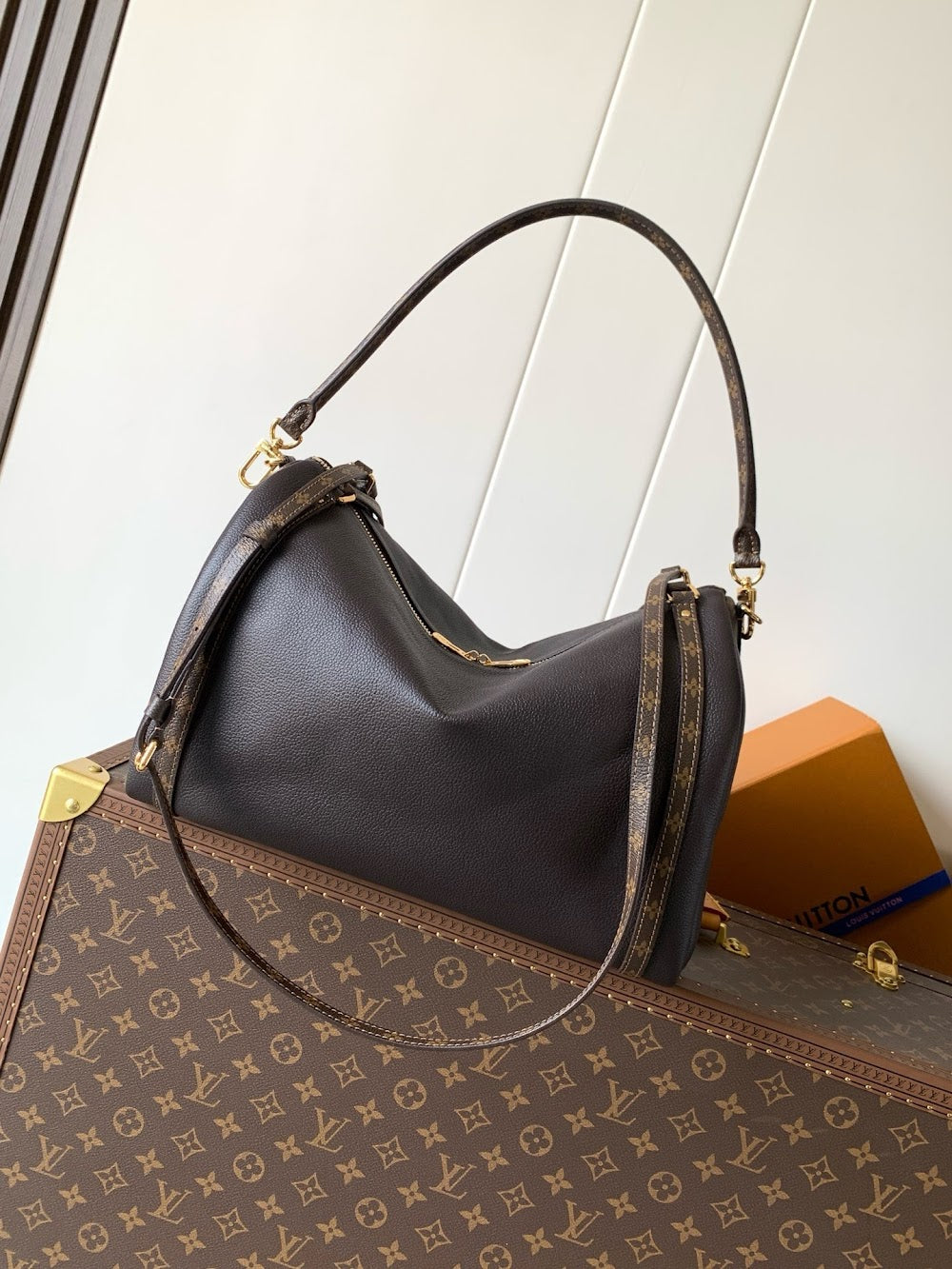 Anum Bags LVn Luxury Bag --79057