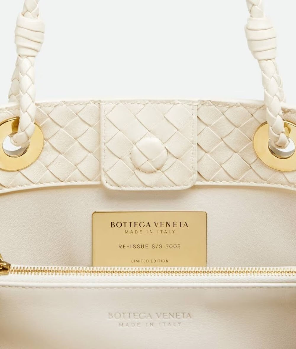 Ezyycart Bags Bottegan Luxury Bag --91485