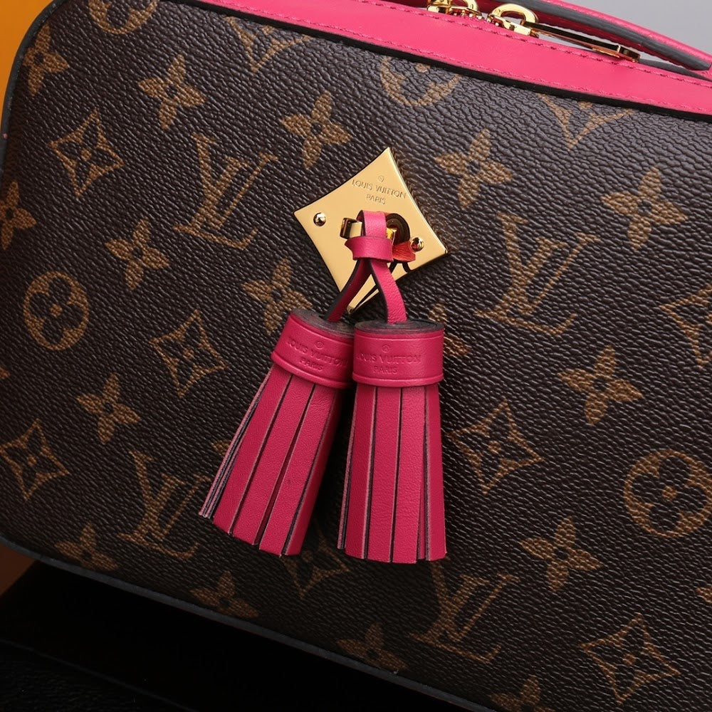 Anum Bags ln Luxury Bag --59491