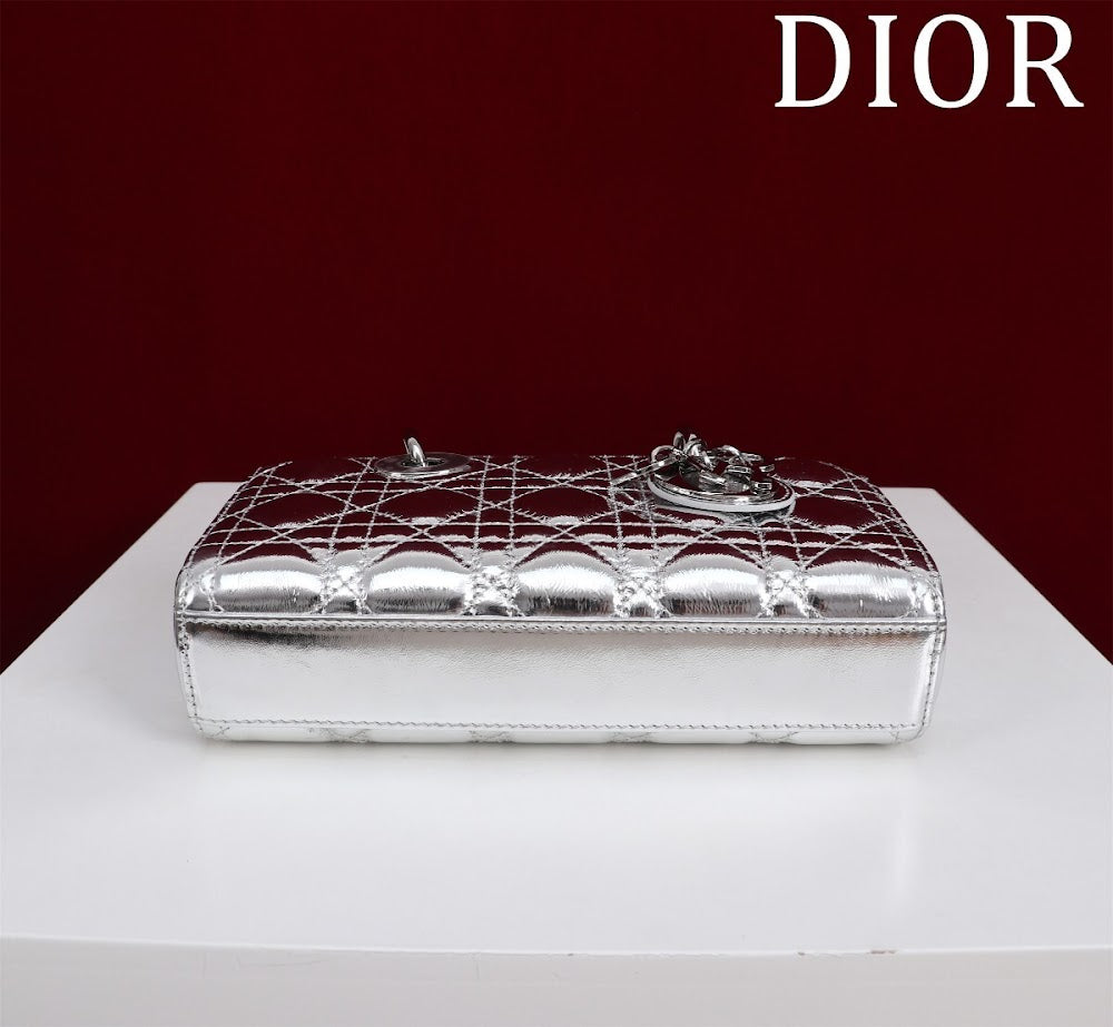 Anum Bags Diorn Luxury Bag --114731