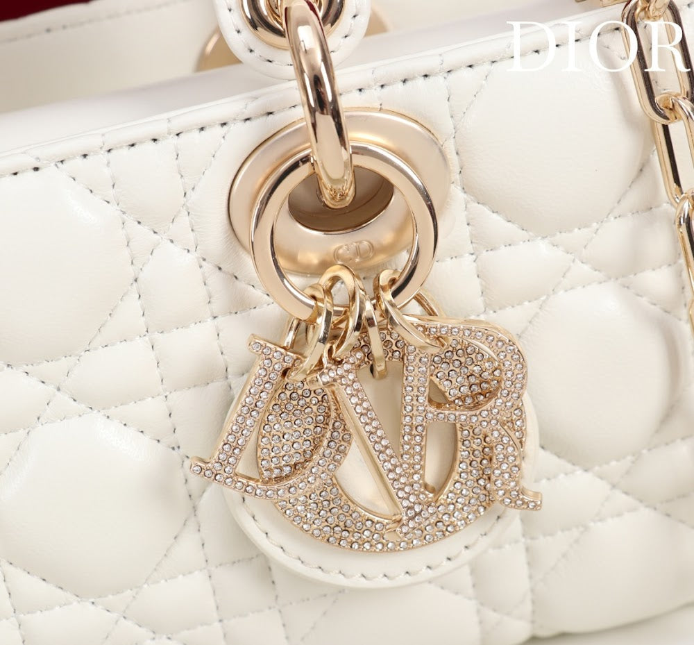 Ezyycart Bags Diorn Luxury Bag --115625