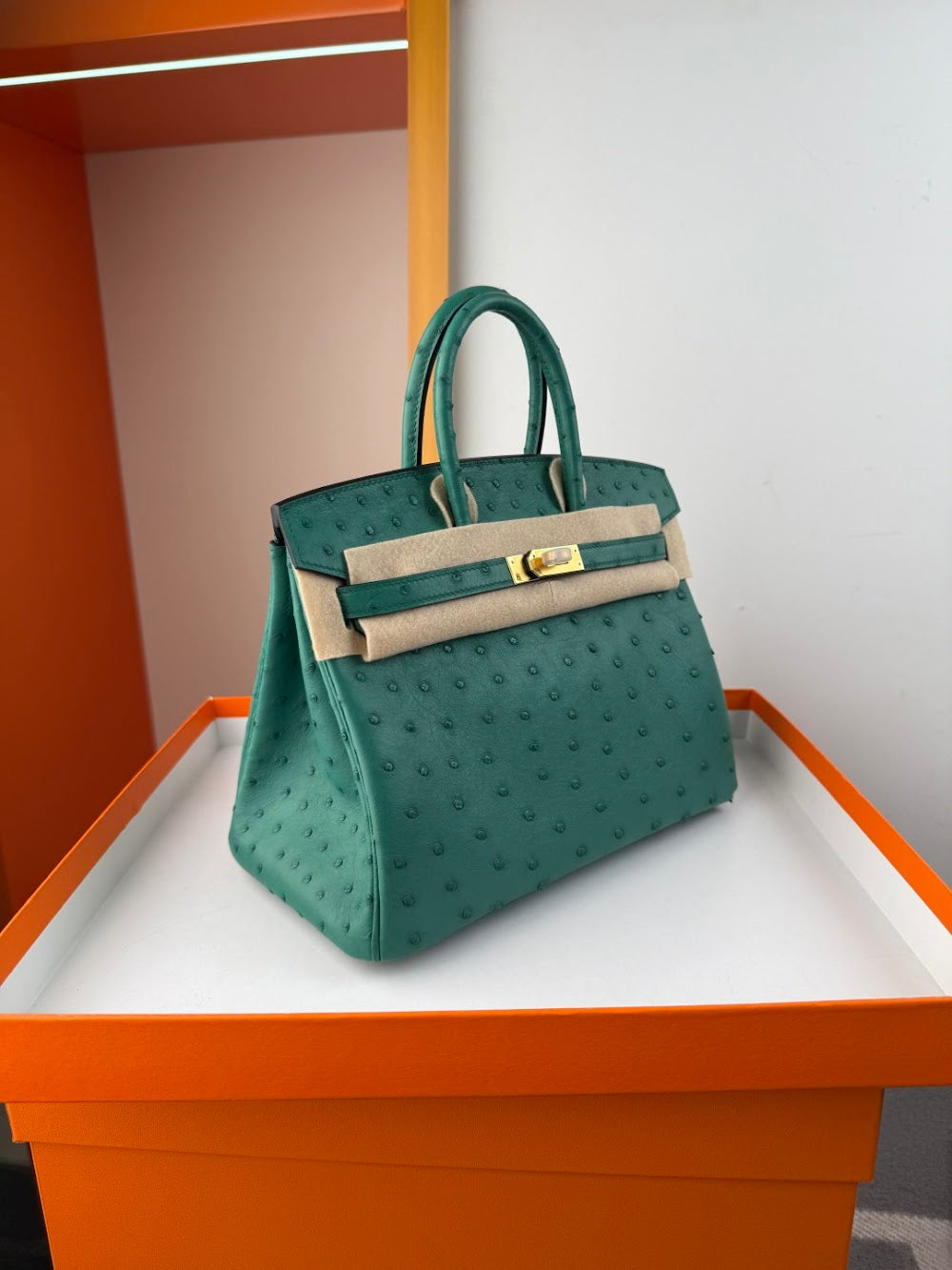 Anum Bags Hermesn Luxury Bag --116757