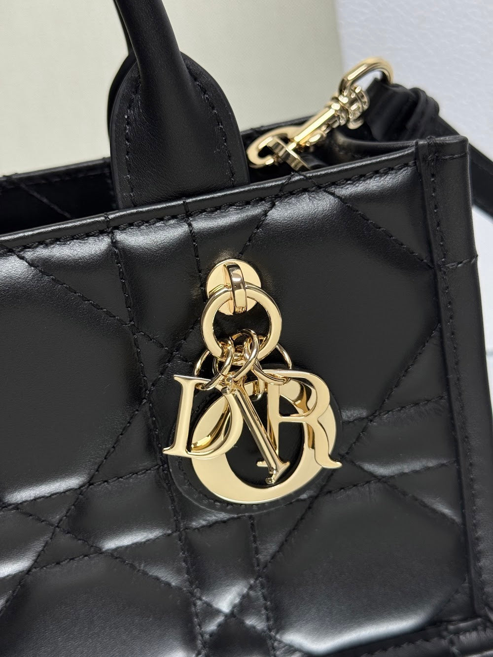 Ezyycart Bags Diorn Luxury Bag --115250