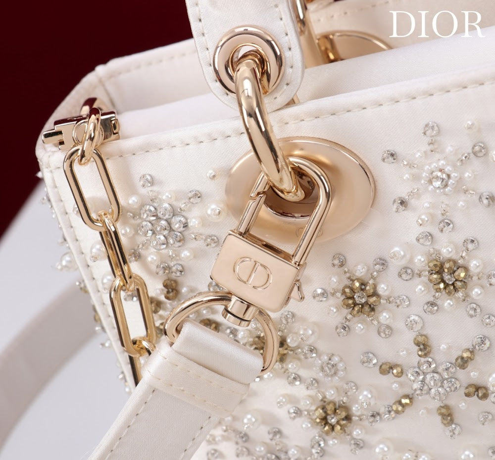 Anum Bags Diorn Luxury Bag --114710