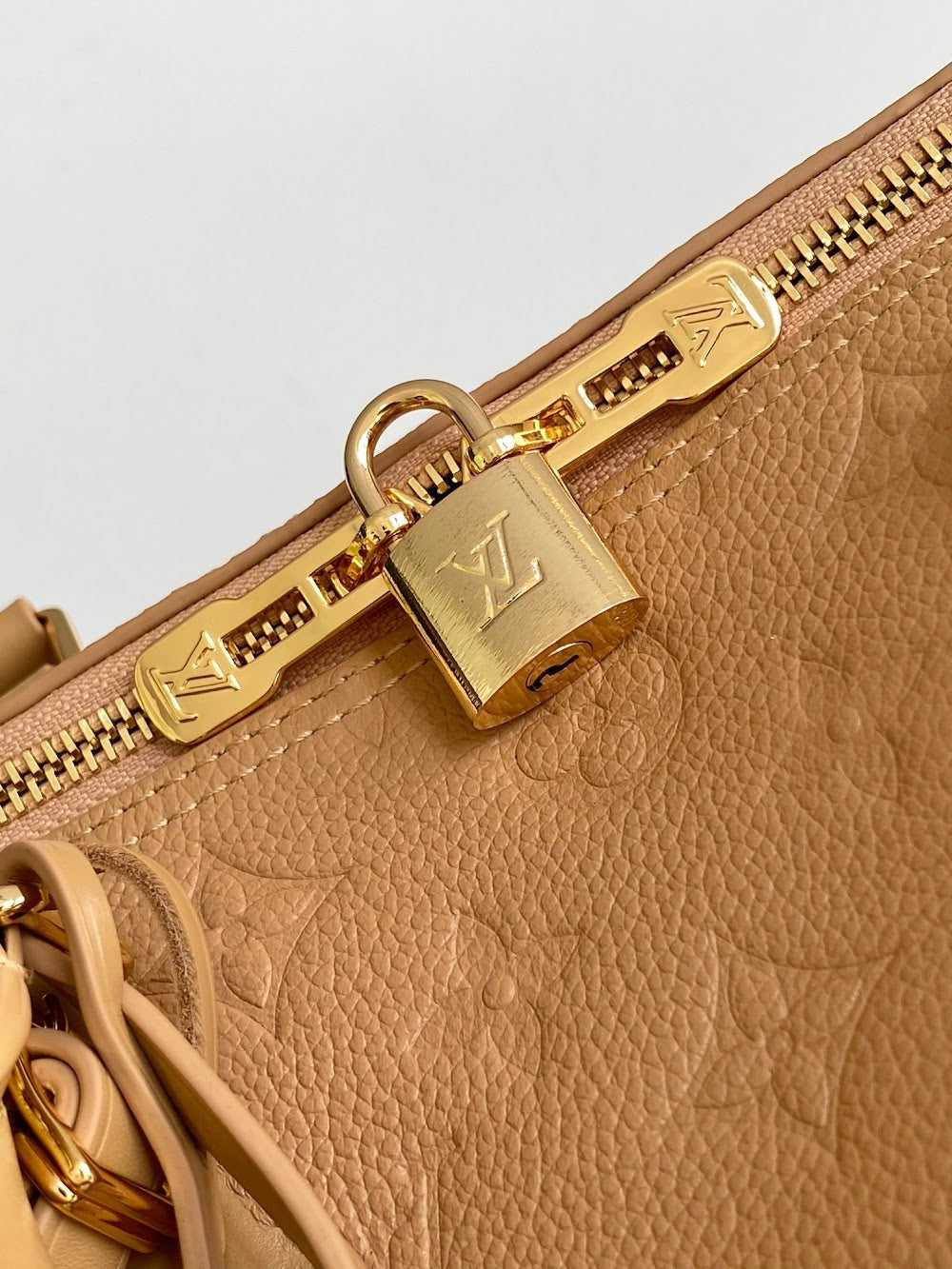 Anum Bags LVn Luxury Bag --79638
