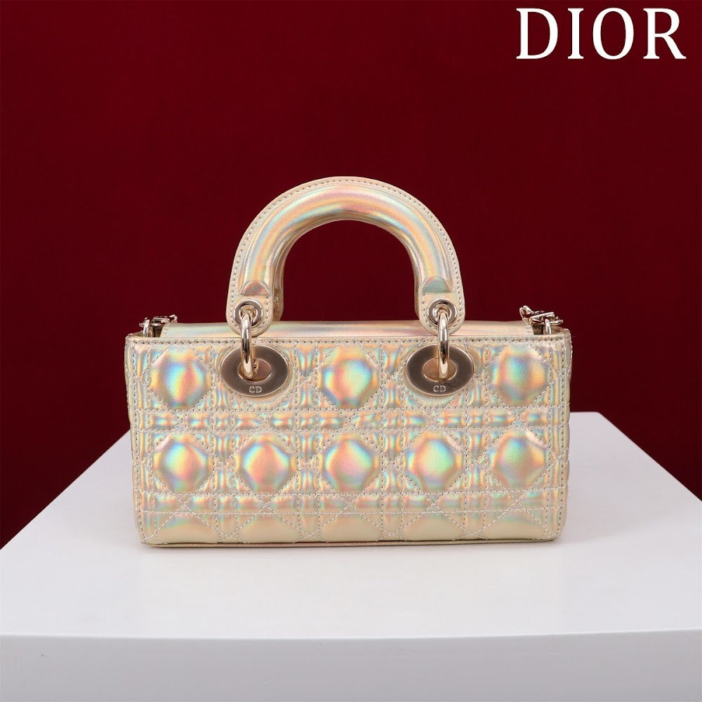 Anum Bags Diorn Luxury Bag --114736