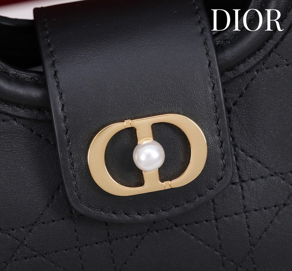 Anum Bags Diorn Luxury Bag --114445