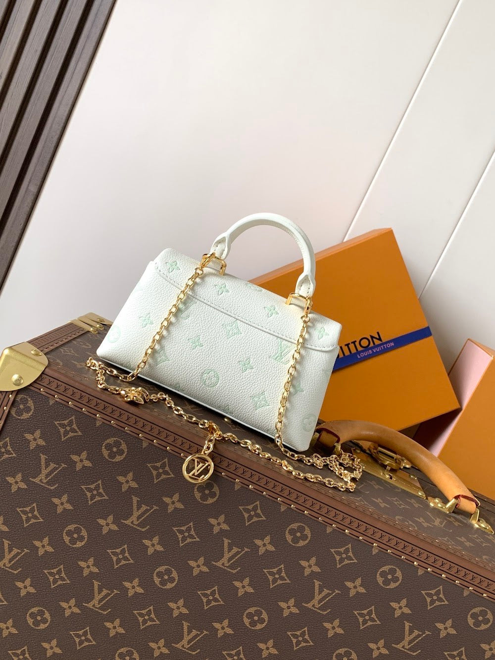 Anum Bags LVn Luxury Bag --79407