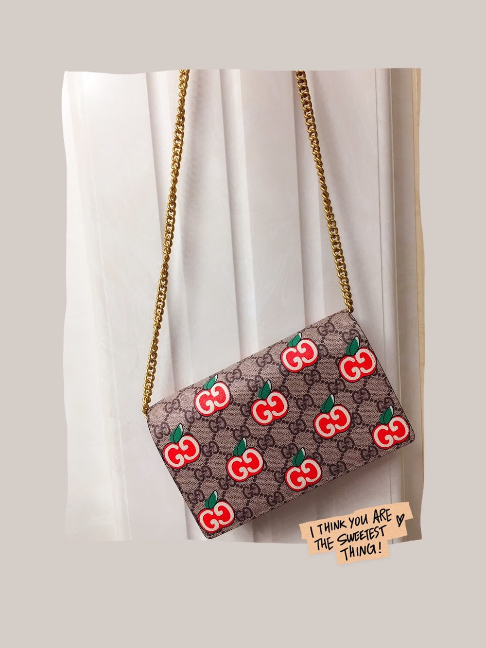 new-designer-premium-bags-nm18061