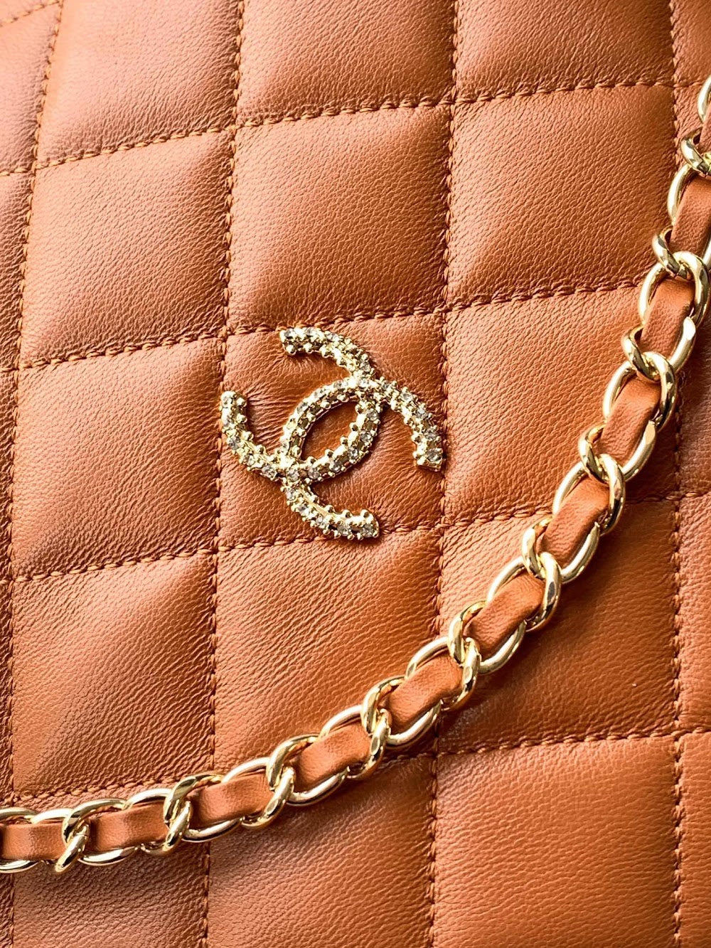 Anum Bags CHn Luxury Bag --112787