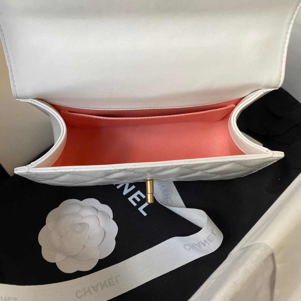 new-designer-premium-bags-nm20714