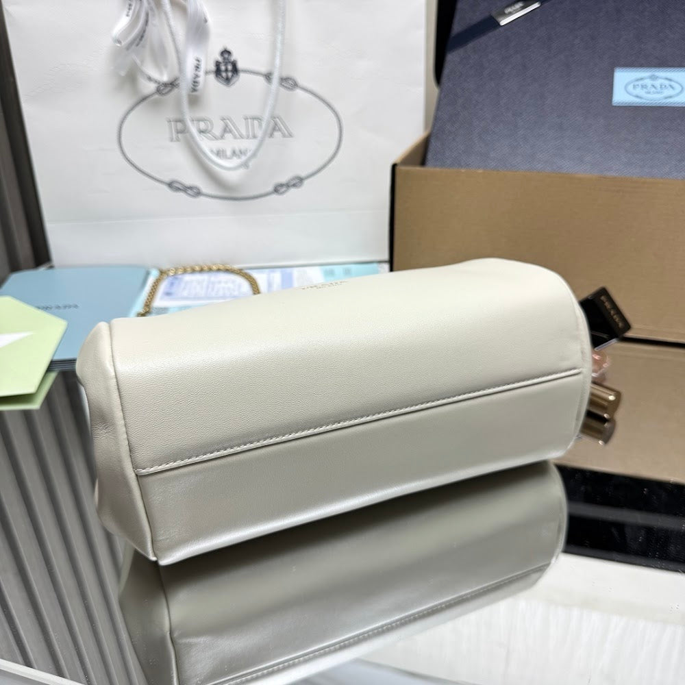 Ezyycart Bags Pradn Luxury Bag --101415