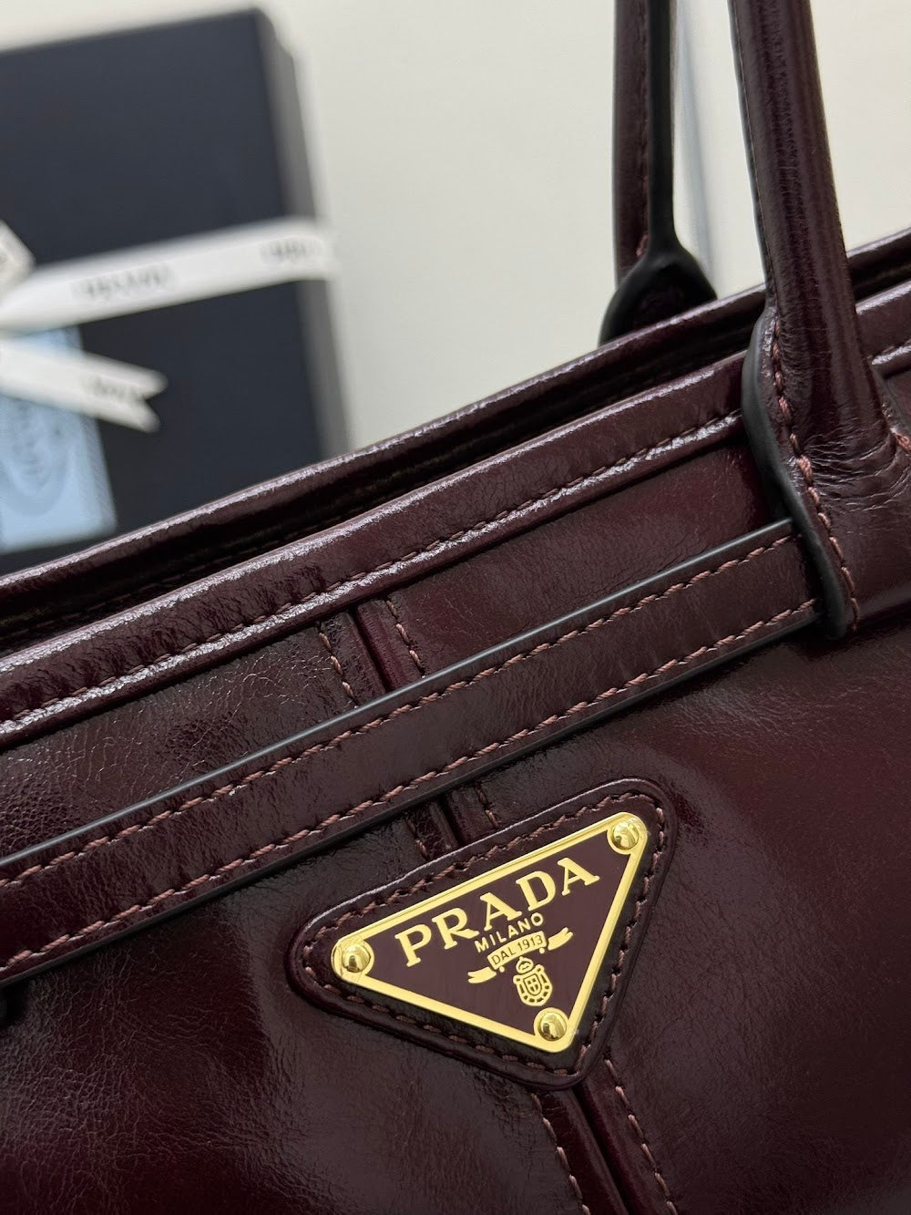 Ezyycart Bags Pradn Luxury Bag --101370