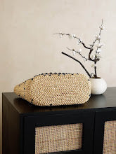 new-luxury-designer-bags-nm6200