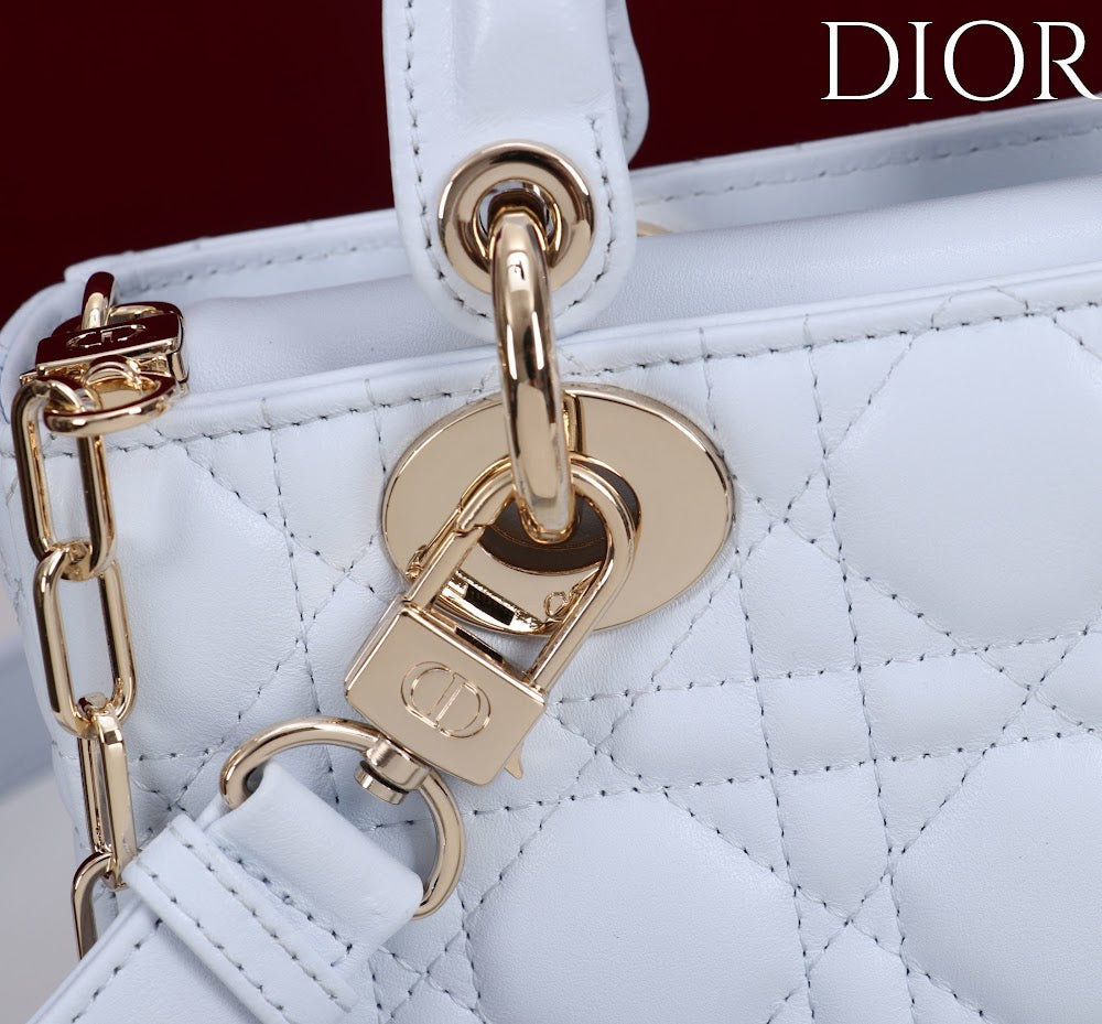 Ezyycart Bags Diorn Luxury Bag --115415