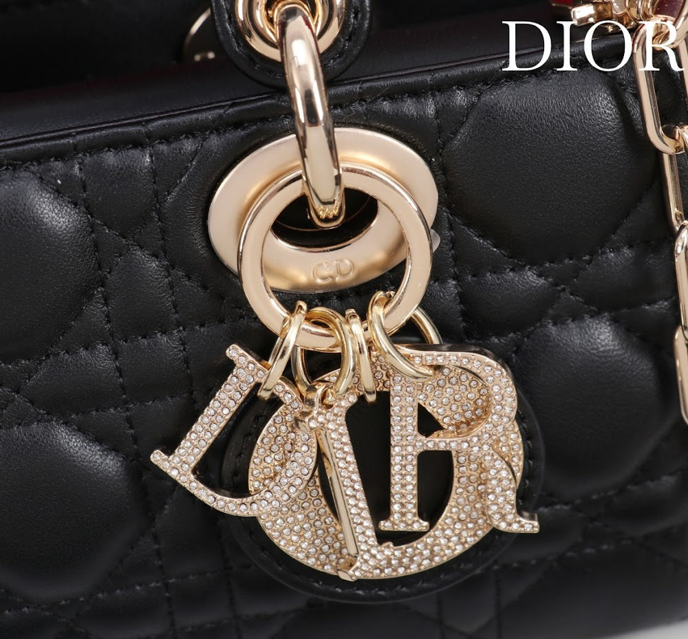 Ezyycart Bags Diorn Luxury Bag --115624
