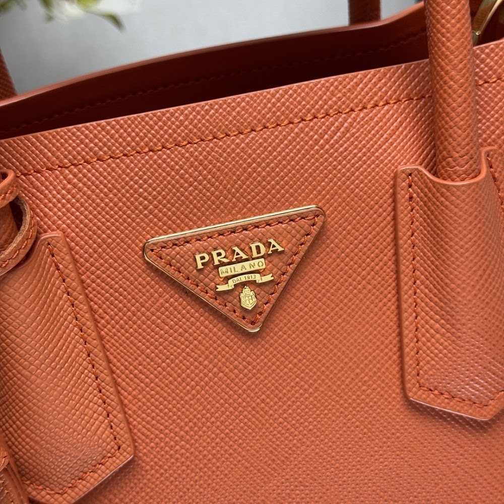 Ezyycart Bags Pradn Luxury Bag --102319