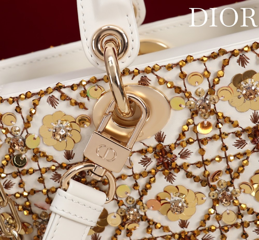 Ezyycart Bags Diorn Luxury Bag --115623