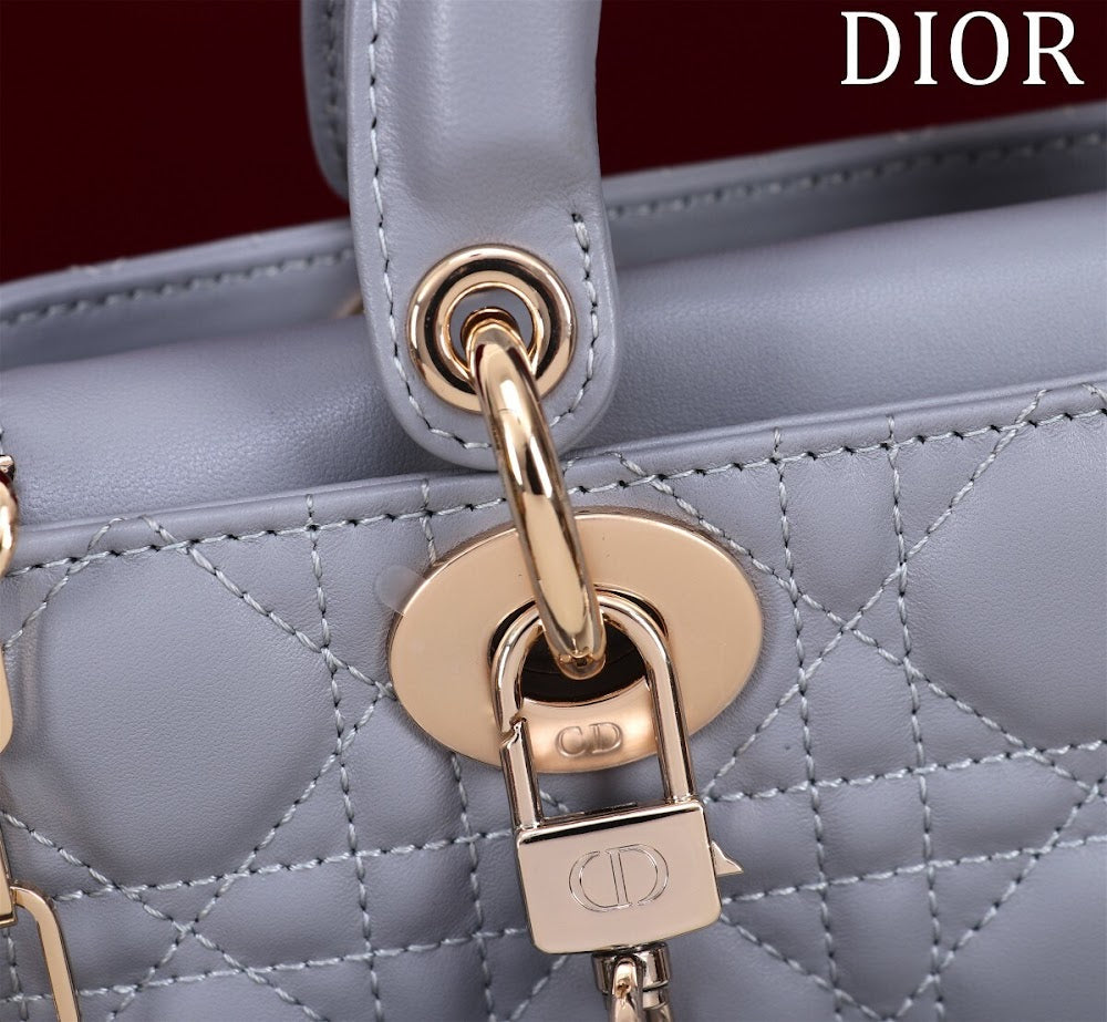 Anum Bags Diorn Luxury Bag --114767