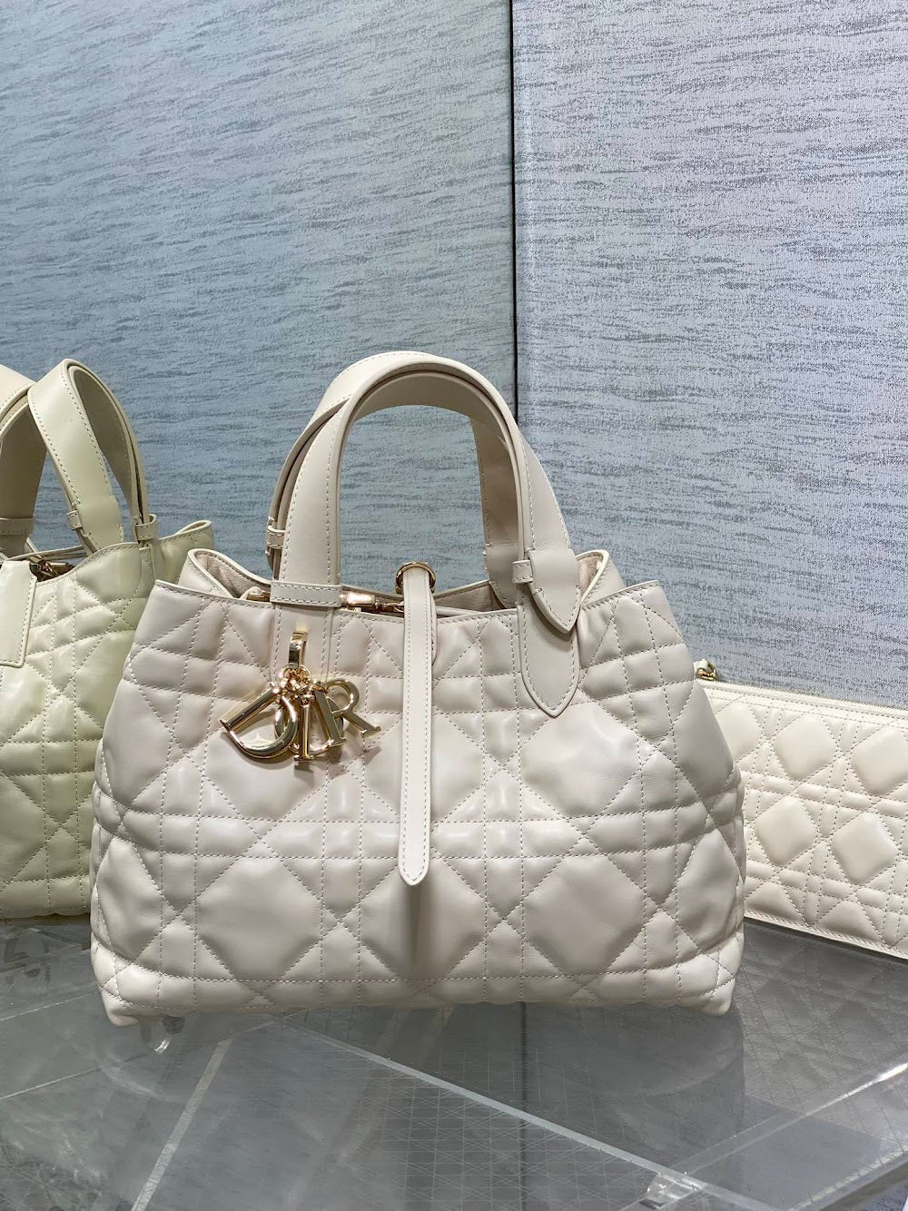Anum Bags Diorn Luxury Bag --114549