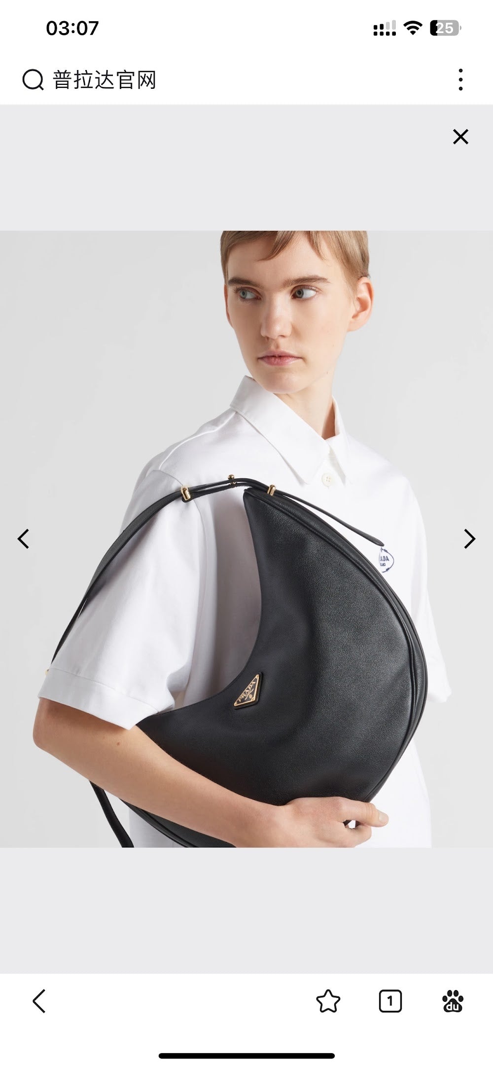 Ezyycart Bags Pradn Luxury Bag --102602