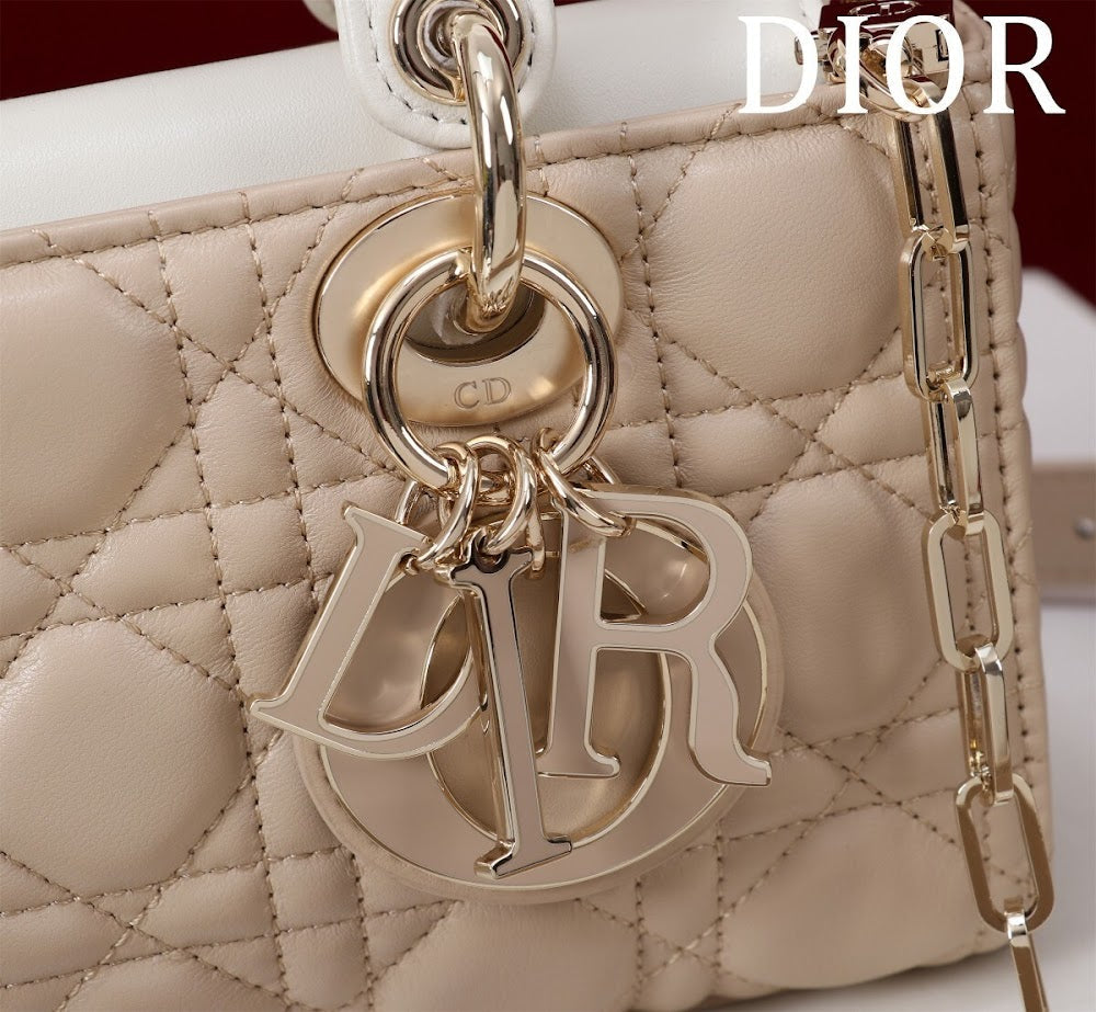 Anum Bags Diorn Luxury Bag --114855