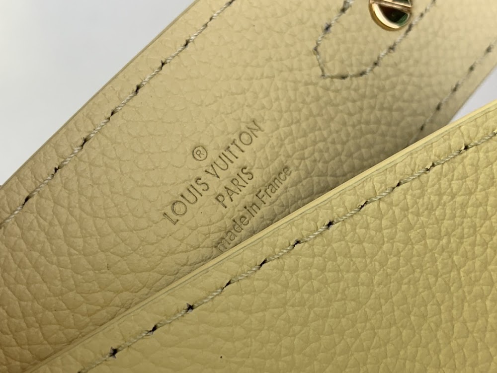 Anum Bags ln Luxury Bag --56847
