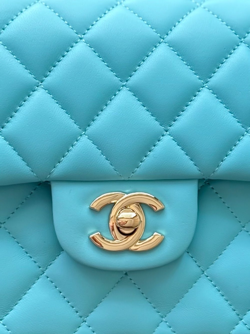Anum Bags CHn Luxury Bag --113029