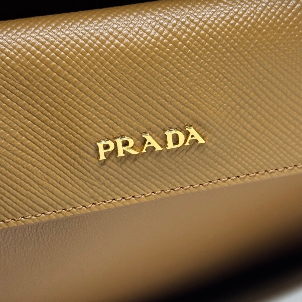 Ezyycart Bags Pradn Luxury Bag --102313