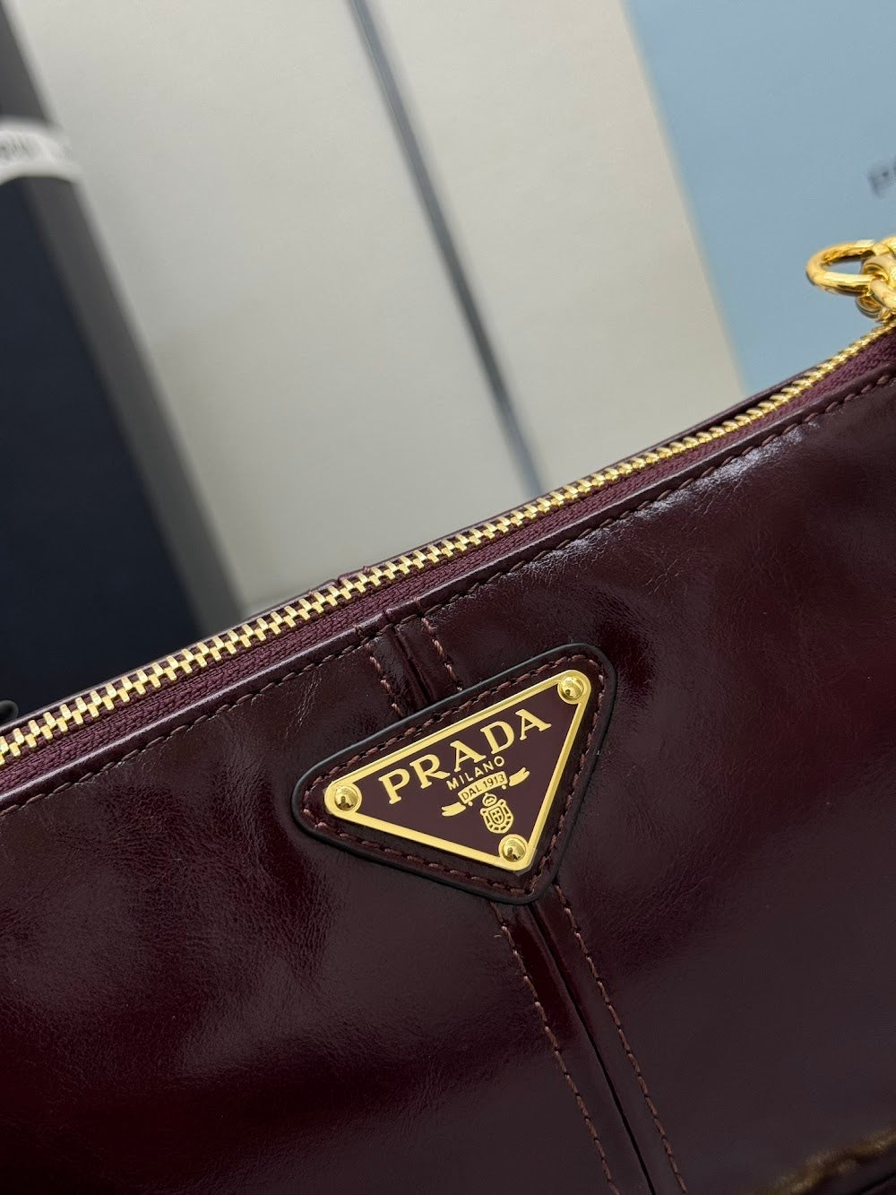 Ezyycart Bags Pradn Luxury Bag --101369