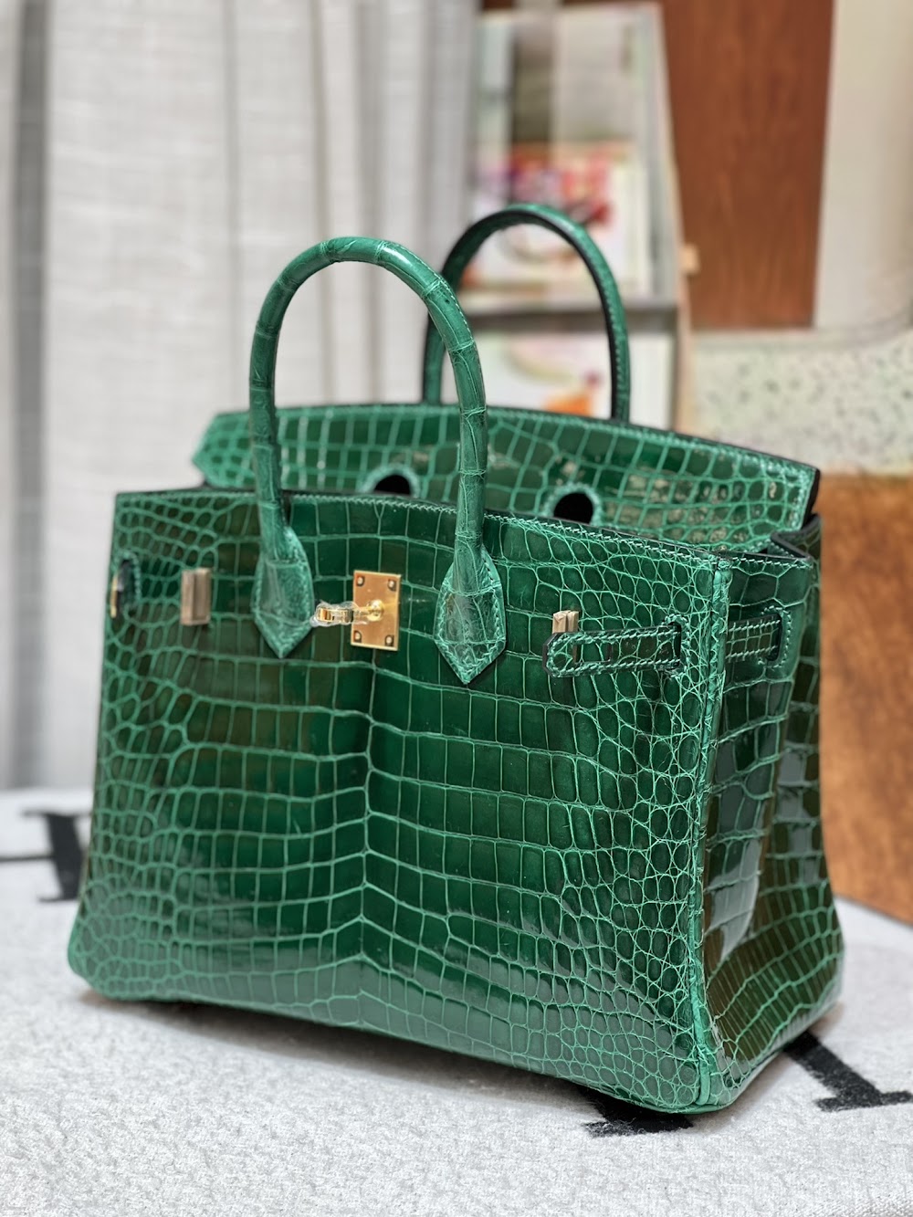 Anum Bags Hermesn Luxury Bag --117213