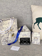 new-designer-premium-bags-nm7614