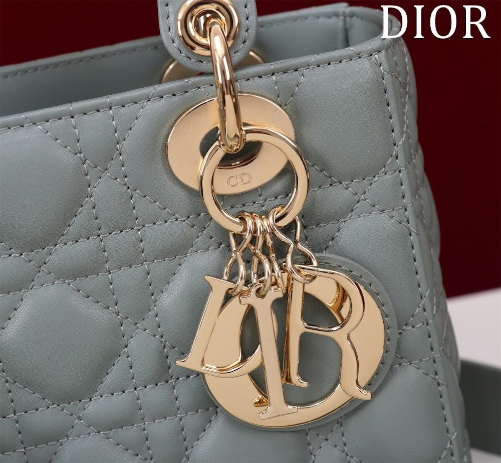 Ezyycart Bags Diorn Luxury Bag --115912