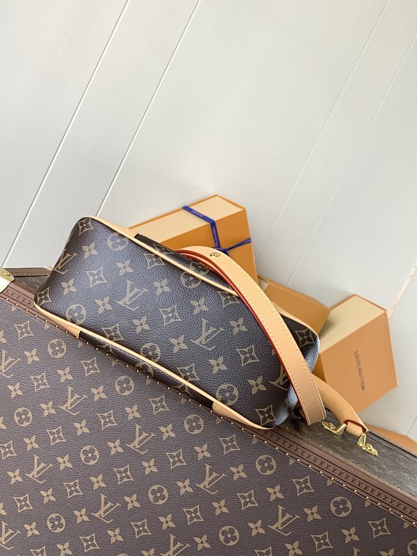 Anum Bags LVn Luxury Bag --79773