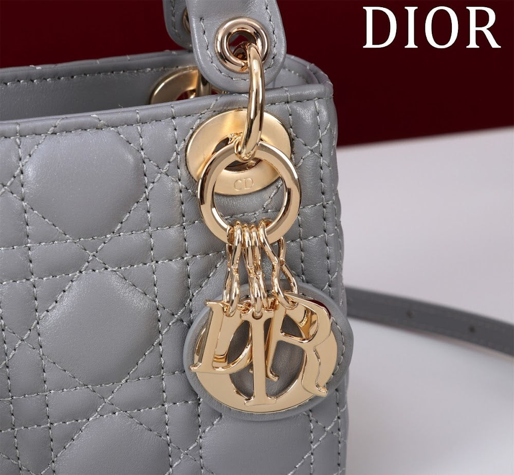 Ezyycart Bags Diorn Luxury Bag --116331